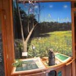 2017OTRA-1_1104 (August 28, 2017)